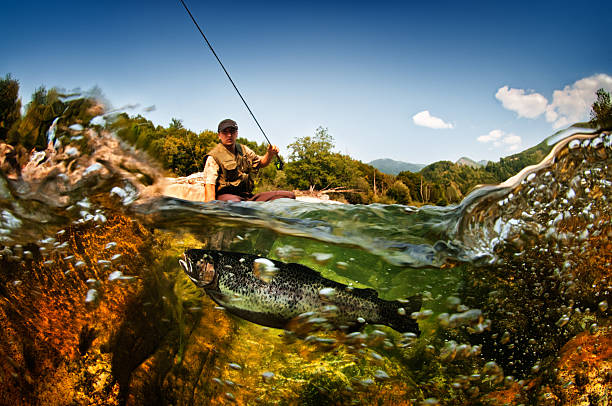 pez de agua dulce - fly fishing fishing river fisherman fotografías e imágenes de stock