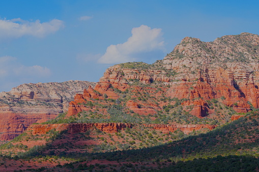 Red rock country, wild flowers and cactus, scenery and natural beauty, Northern Arizona's premier resort destination town, Sedona Arizona. SOuthwestern United States.