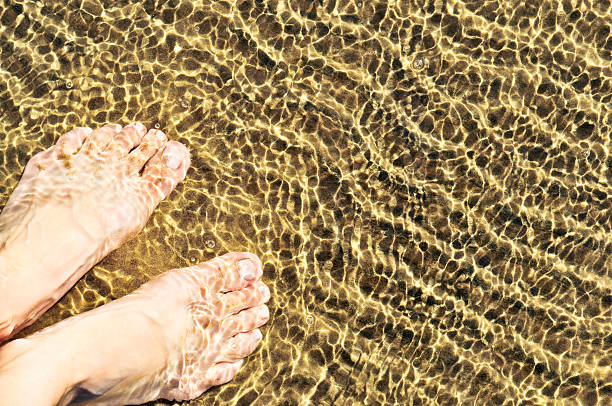 füße im flachen wasser - human foot wading sea human toe stock-fotos und bilder