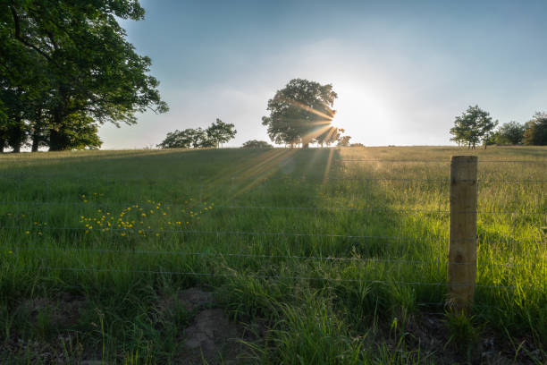 A picturesque meadow under a vast blue sky, framed by a rustic wire fence, invites you to escape into the serene beauty of Deer Park Eastnor