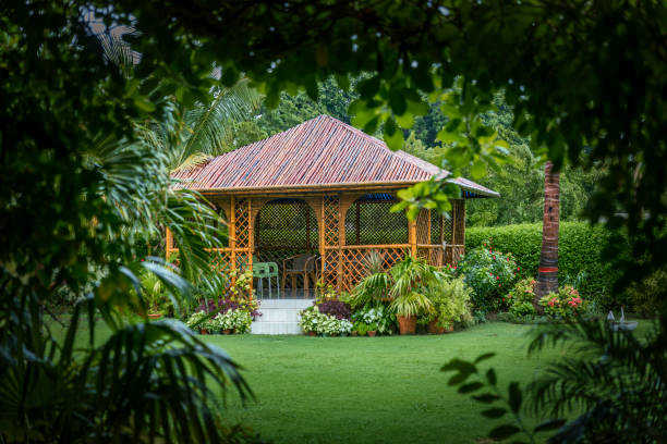 un'oasi tropicale: un gazebo di bambù all'aperto immerso in una vegetazione lussureggiante, che offre un sereno relax dopo una pioggia rinfrescante. - tropical rainforest rainforest tropical climate formal garden foto e immagini stock