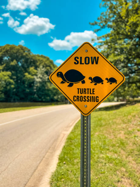 istock Slow Down For Turtles Crossing Sign 1534048880