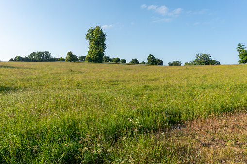 A picturesque meadow under a vast blue sky, framed by a rustic wire fence, invites you to escape into the serene beauty of Deer Park Eastnor