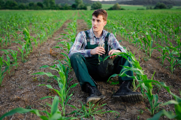istock Tired exhausted farmer sitting and drinking water in corn field 1534052814