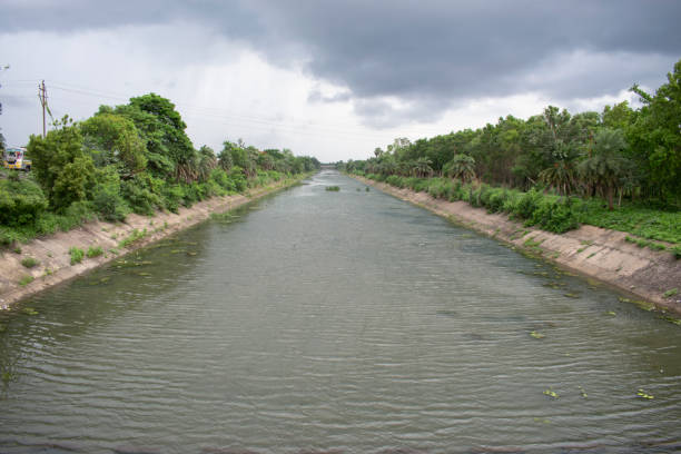 istock mayurakshi canal with abundant greenery on the sides 1534062696