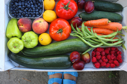 Crate of fresh fruit and vegetable, picked from the garden, and feet in blue sandals. Summer in the garden concept. Top view, unrecognizable person.