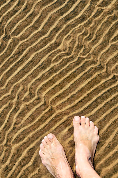 füße im flachen wasser - human foot wading sea human toe stock-fotos und bilder