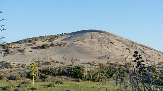 image of a golden sand dune in cabo de gata