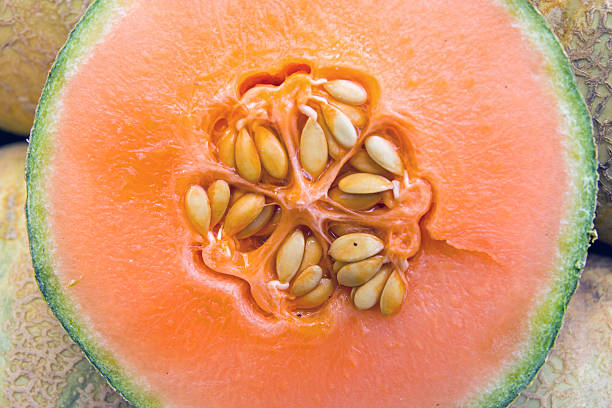 istock Detail of a honeydew melon 153411641