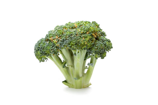 Head of broccoli on white background stock photo