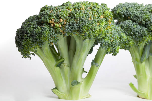 Two heads of broccoli on a white background Cabbage looks like trees. Several succulent branches of green broccoli with dense clusters of small buds. The common trunk stands vertically on an even cut. Around white background broccoli crowns stock pictures, royalty-free photos & images