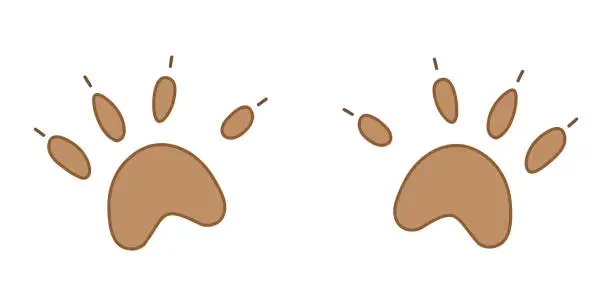 Vector illustration of Illustration of Bear Paw Footprints. Brown prints from the paws of the beast. Cast of Animal Feet. Fingers and claws.