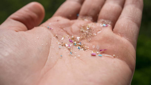 istock Person holding micro plastic gathered from the ocean in his hand. 1534188543