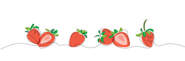 Set of vector stylized strawberries in one line Vector color clip art of stylized strawberries in the style of minimalism one line and spot for design and decoration chandler strawberry stock illustrations