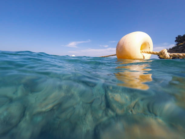 istock Underwater image Alicante province Spain Mediterranean sea 1534219590