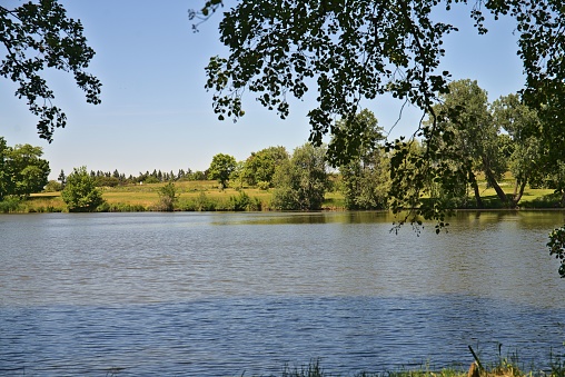A tranquil scene of lush green trees on the banks of a peaceful river