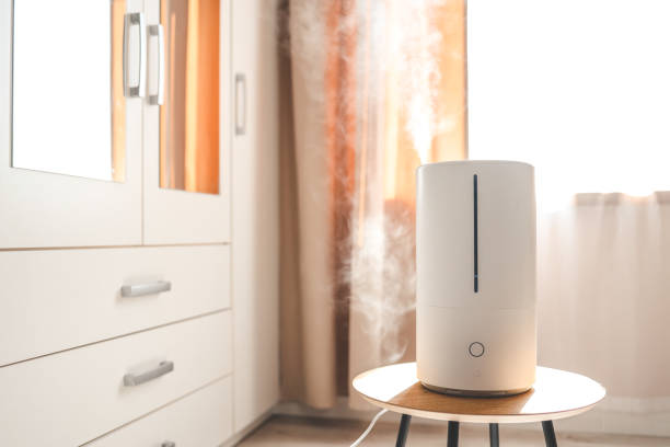 istock Modern air humidifier on table in living room. Space for text 1534229833