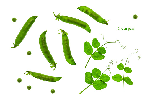 Sweet green peas on a white backlit background. Creative layout