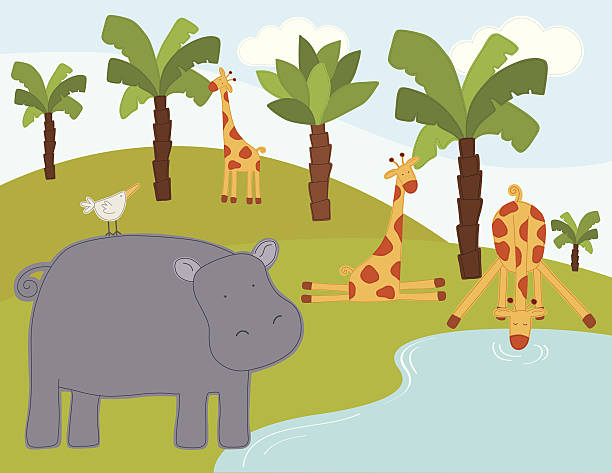 Giraffe Drinking Illustrations, Royalty-Free Vector Graphics & Clip Art - iStock Giraffe Drinking Illustrations, Royalty-Free Vector Graphics & Clip Art - iStock