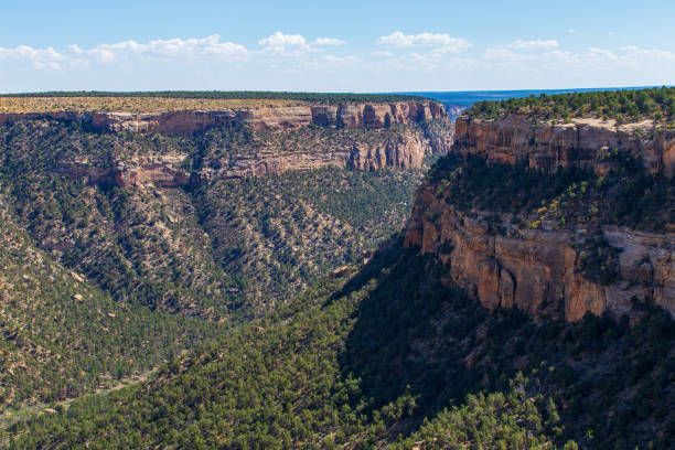 istock Mesa Verde National Park 1534269047