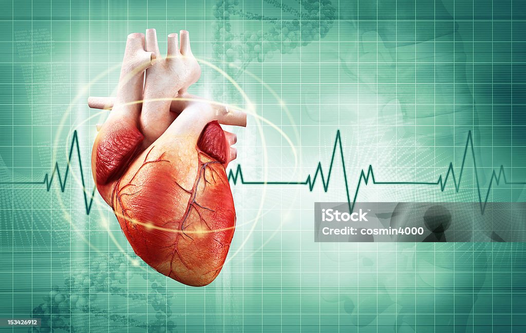 heartbeat heart health fitness concept Electrocardiography Stock Photo