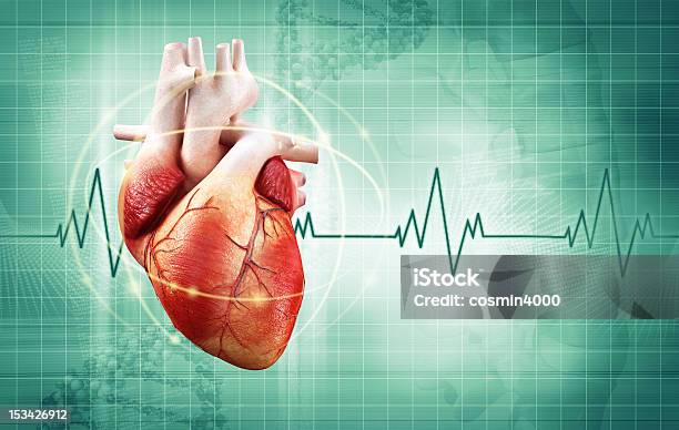 Heartbeat Stock Photo - Download Image Now - Electrocardiography, Human Heart, Taking Pulse