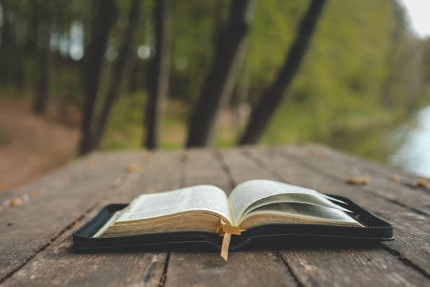 istock Open Bible on a wooden board near the river 1534277080
