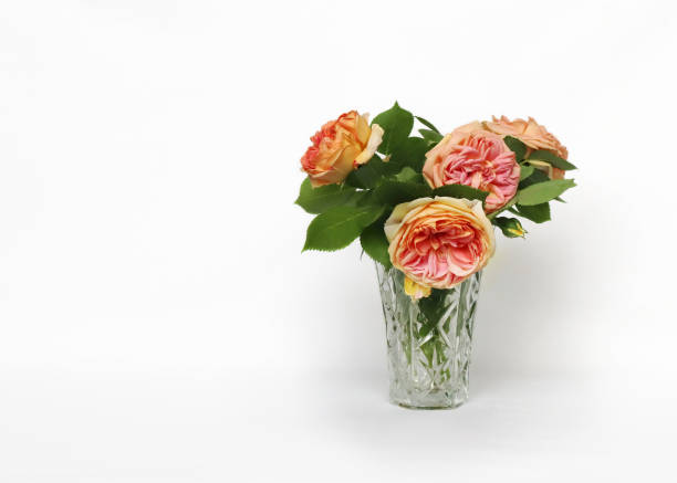 Crystal vase with orange rose flowers on a white background