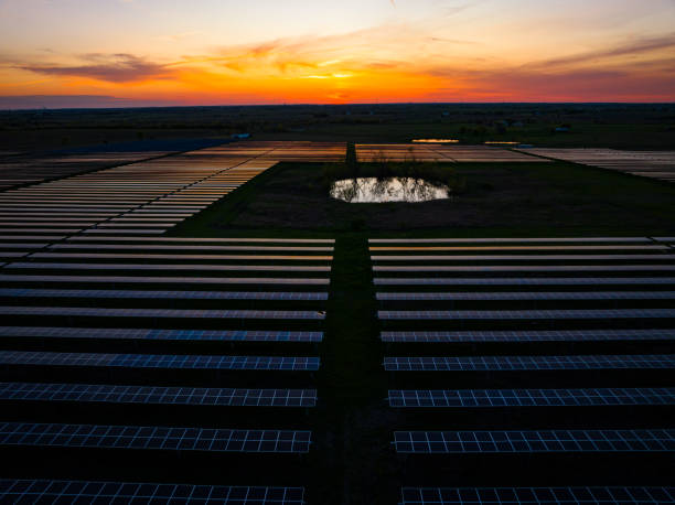 istock Solar Panel Power Plant with thousands of solar panels into the horizon 1534289134