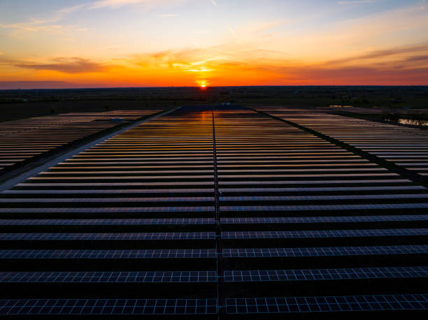 Endless Solar Panels into the Sunset