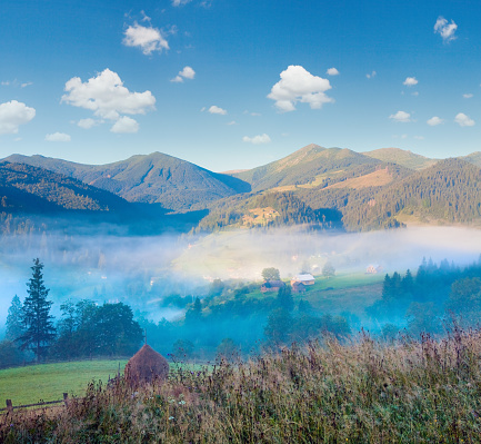 Misty daybreak in summer Carpathian mountain, Ukraine (with mist clouds).