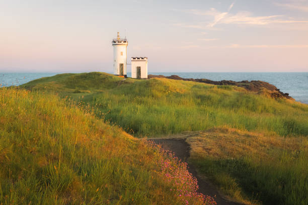 istock Elie Ness Lighthouse, Fife 1534302379