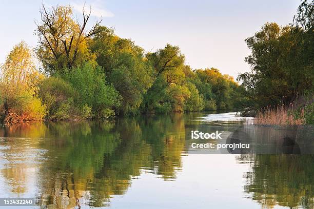 River Channel An Der Donaudelta Stockfoto und mehr Bilder von Baum - Baum, Biosphärenreservat Donaudelta, Blau