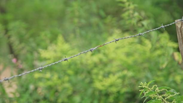 istock Barbed Wire Fence around Countryside Field Meadow 1534334313