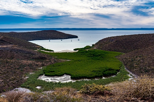 Vistas sobre Balandra - Baja California photo