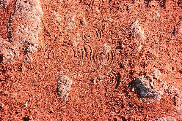 Impronta sulla sabbia rossa - foto stock
