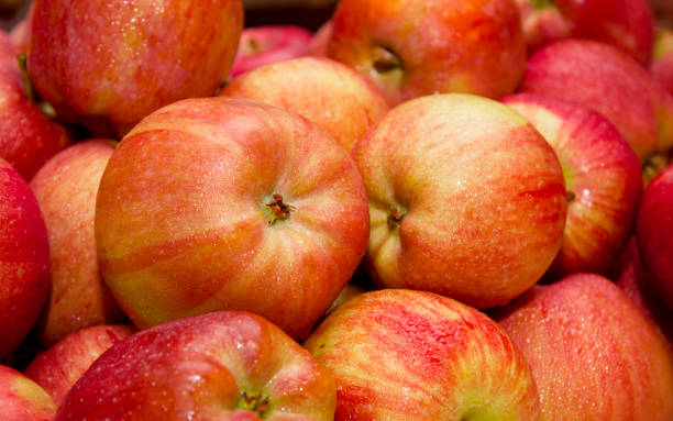 mercados soporte, manzanas - agriculture autumn apple greengrocers shop fotografías e imágenes de stock