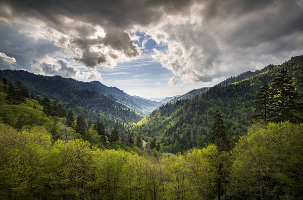 Great Smoky Mountains National Park Mortons Overlook Scenic Landscape Gatlinburg Great Smoky Mountains National Park Mortons Overlook Scenic Landscape Gatlinburg TN with spring greens and dramatic sky appalachian trail photos stock pictures, royalty-free photos & images