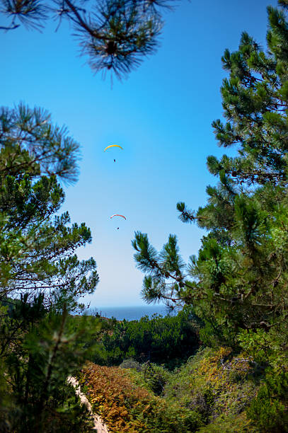 Parasailing stock photo