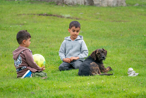 Brothers sitting with dog on grass field. The dog turns around and looks at the camera. brothers lovingly looking after the dog. the brothers and the dog form a circle and sit on the floor. Shot with a full-frame camera in daylight.