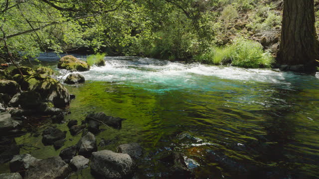 Crystal Clear River Rapids