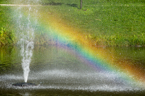 A fountain in a pond making a rainbow.