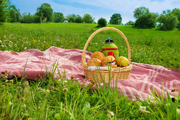 istock holiday picnic in park 153442462