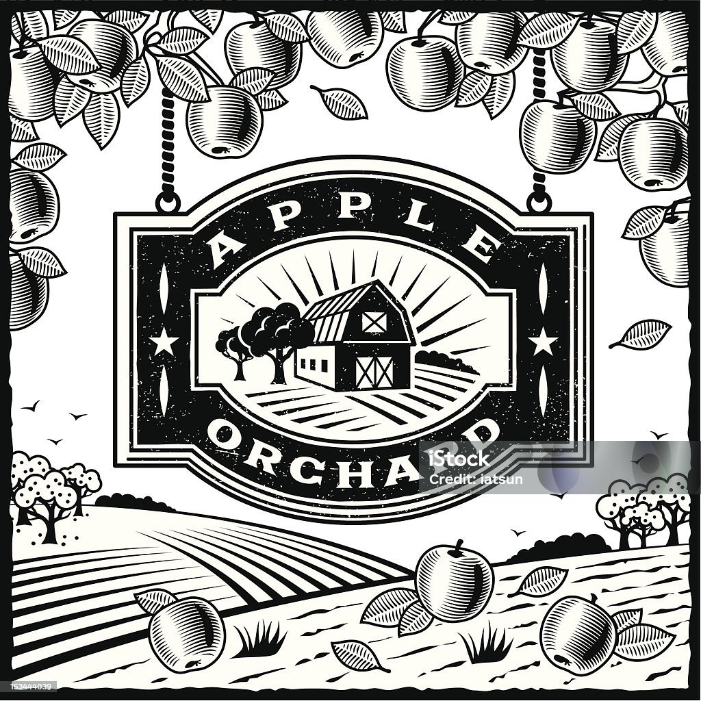 Apple Orchard black and white Retro landscape with Apple Orchard sign in woodcut style. Black and white vector illustration with clipping mask. Includes high resolution JPG. Apple Orchard stock vector