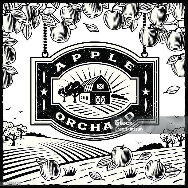 Apple Orchard Black And White Stock Illustration - Download Image Now - Apple Orchard, Vector, Apple Tree