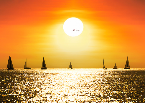Silhouette view of sailboats at sunset. holiday background
