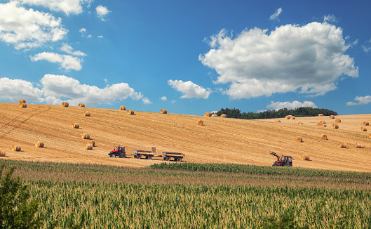 Shot of a mature man standing next to his tractor on a farm