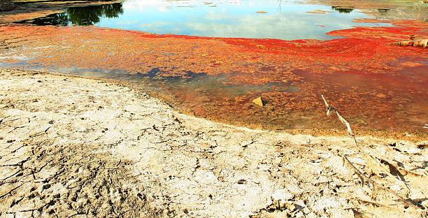 istock environmental disaster due  emissions to water 153444834