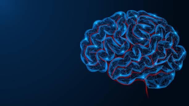 istock Circulatory system of the vessels of the human brain. 1534450284