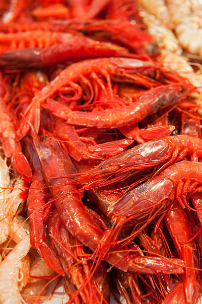 istock Carabineros, big red shrimps 153447648